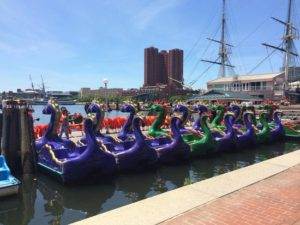 inner-harbor-Dragon-paddle-boats